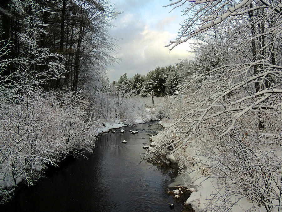 Tioga River in Winter Photograph by Mim White