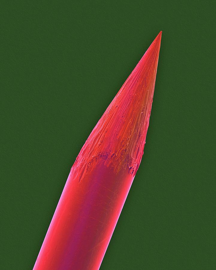 Tip Of A Tattoo Needle Photograph by Dennis Kunkel Microscopy/science Photo Library