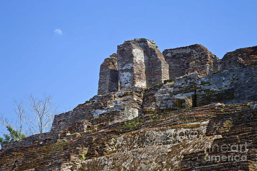 Mayan Photograph - Tip Of Pyramid At Comalcalco by Ellen Thane