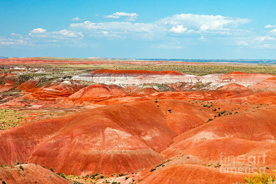 Tiponi Point Painted Desert Petrified Forest National Park Photograph by Fred Stearns