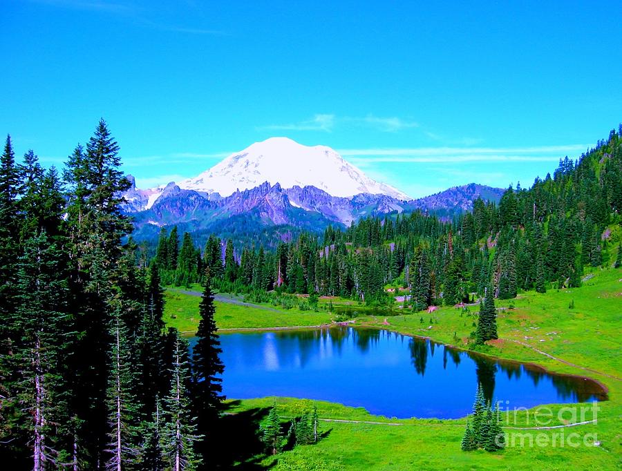 Mount Rainier National Park Photograph - Tipsoo Lake Mount Rainier by Ann Johndro-Collins