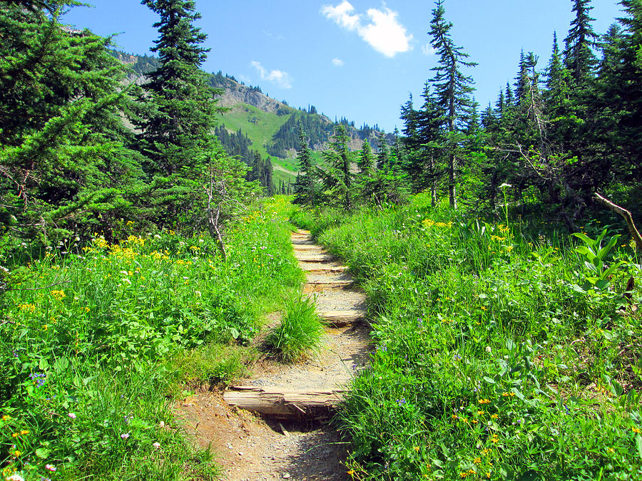 Landscape Photograph - Tipsoo Lake-Naches Peak Loop Trails Beginning or End by Kathy Moll