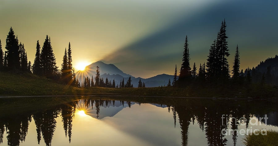 Mount Rainier National Park Photograph - Tipsoo Rainier Sunstar by Mike Reid