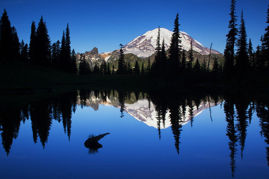 Mount Rainier National Park Photograph - Tipsoo Sunrise by Mark Kiver