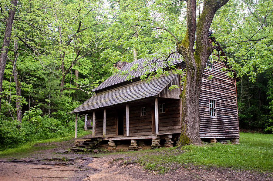 Tipton Place Cades Cove Photograph by Cynthia Woods