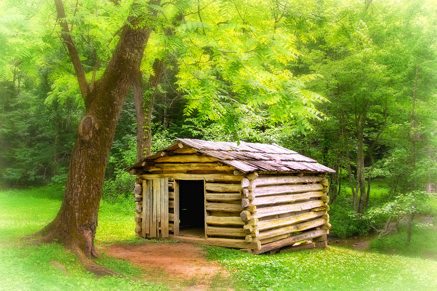 Tipton Place log shed Photograph by Carolyn Derstine