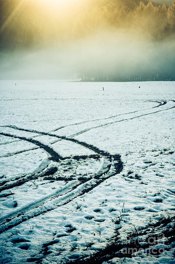 Tire signs in snow Photograph by Silvia Ganora