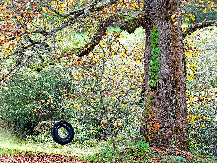 Tire Swing and Poplar Tree 2 Photograph by Duane McCullough