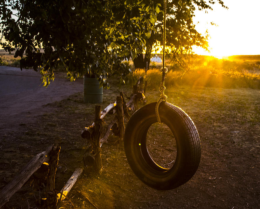 Tire Swing Photograph
