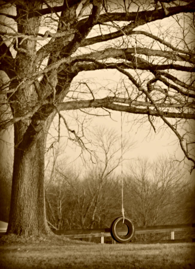Tire Swing Photograph by Dark Whimsy