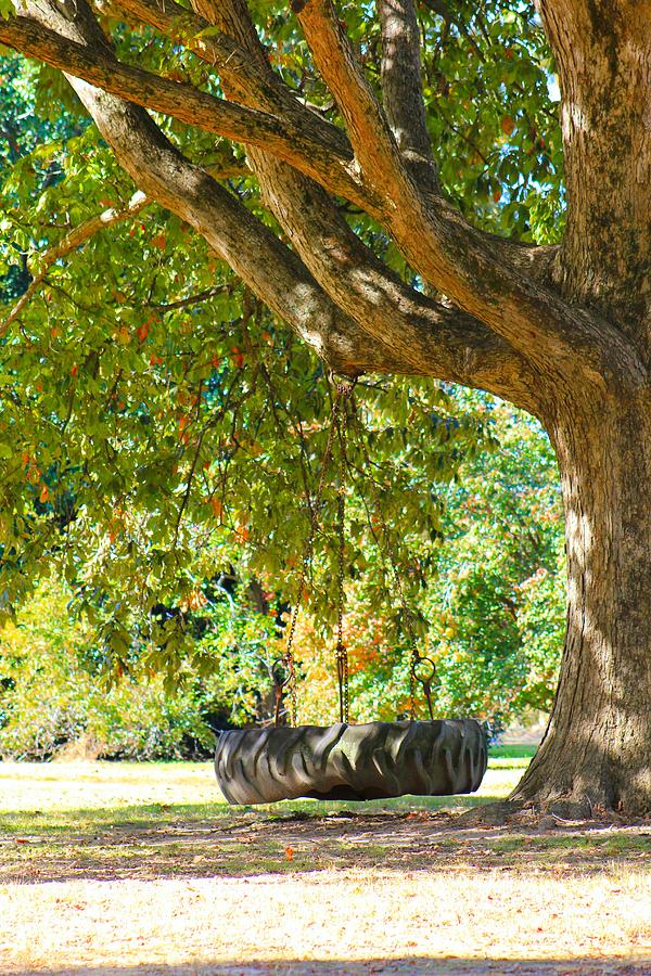 Tree Photograph - Tire Swing by Karen Wagner