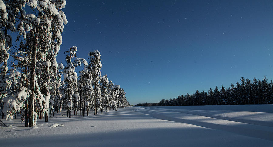 Tire Tracks In Snow Near Forest Photograph by Dave Brosha Photography ...