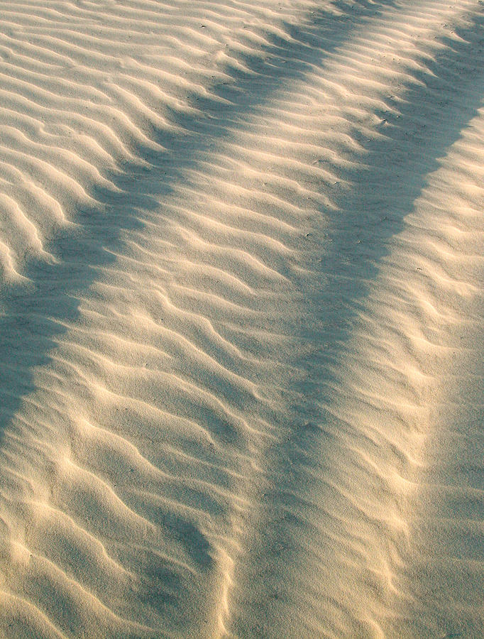 Tire Tracks in the Sand. Photograph by Rob Huntley