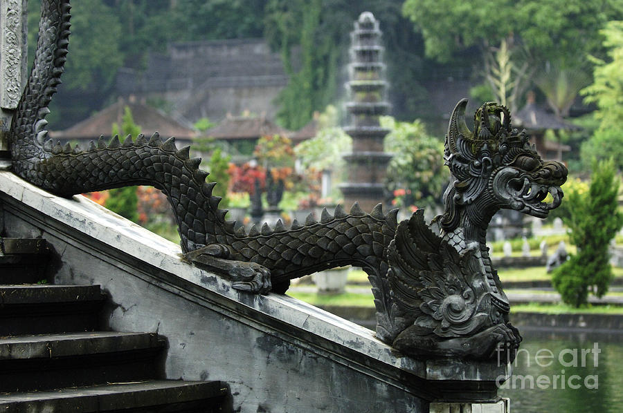 Dragon Photograph - Tirta Gangga Bali Indonesia by Bob Christopher