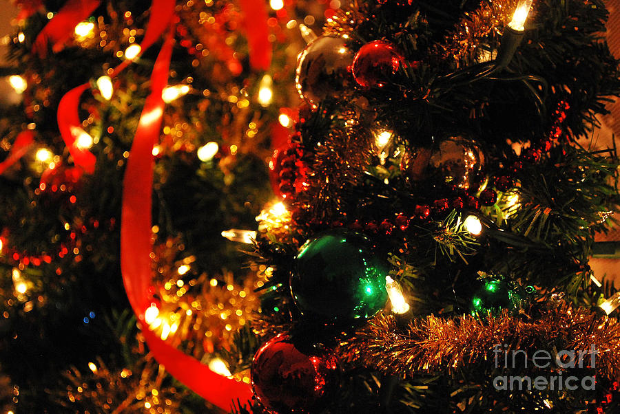 Christmas Photograph - Tis The Season by Nancy Mueller