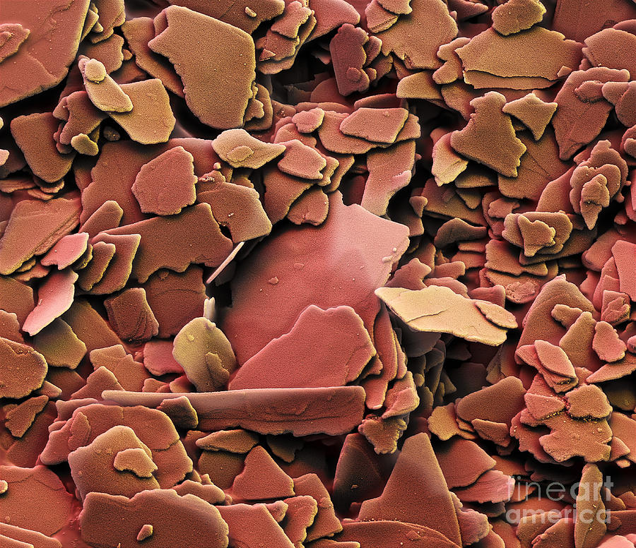 Titanium Dioxide Pigment Sem Photograph by Eye of Science
