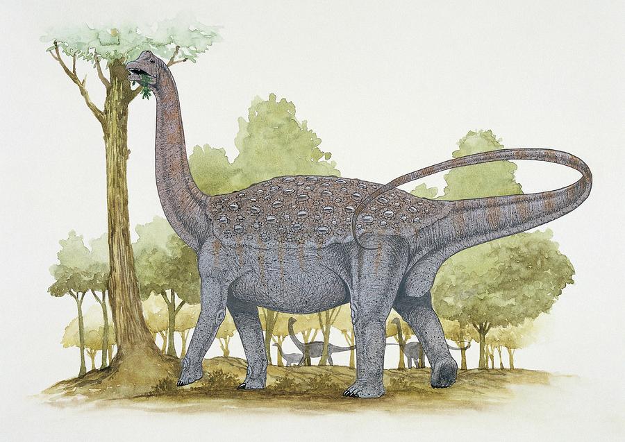 titanosaurus dinosaur