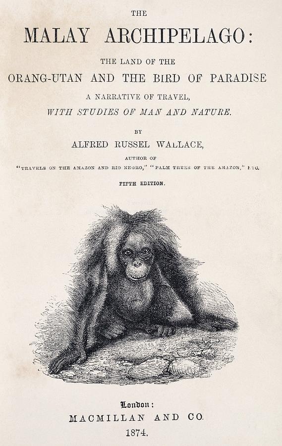 Title Page Of the Malay Archipelago Photograph by Natural History Museum, London/science Photo Library