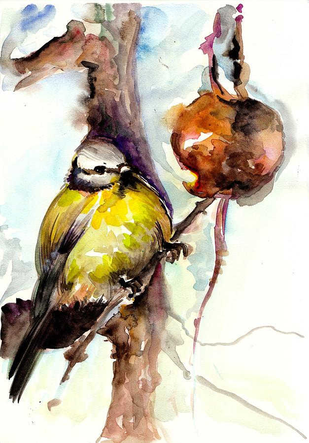 Titmouse Eating the Apple - Original Watercolor Painting by Tiberiu Soos