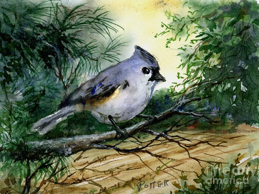 Titmouse Painting by Virginia Potter