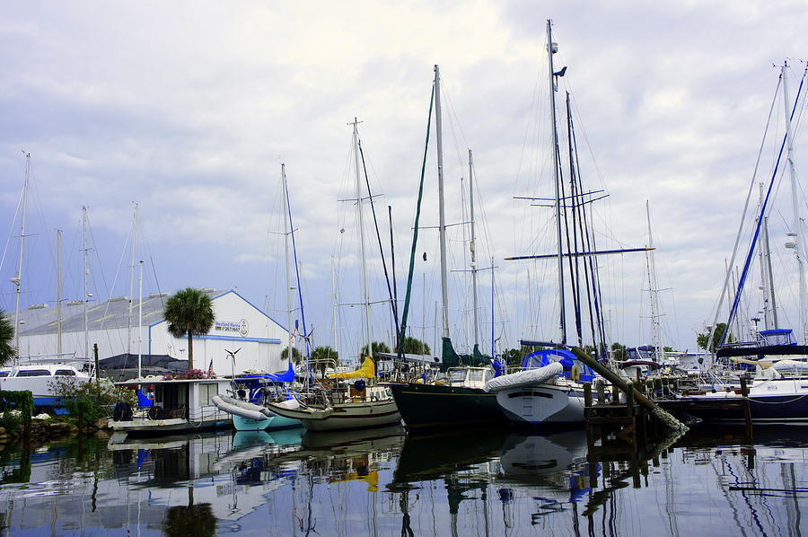 Titusville Marina Photograph by Laurie Perry