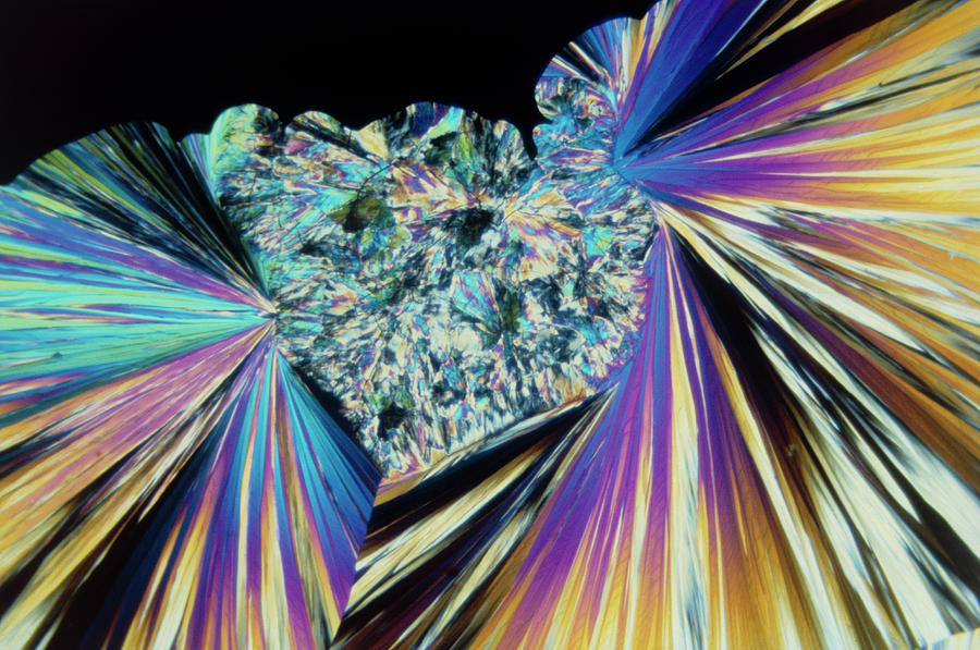 Plm Photograph - Tnt Explosive Crystals by Stephen A. Skirius/science Photo Library Plm Photograph - Tnt Explosive Crystals by Stephen A. Skirius/science Photo Library
