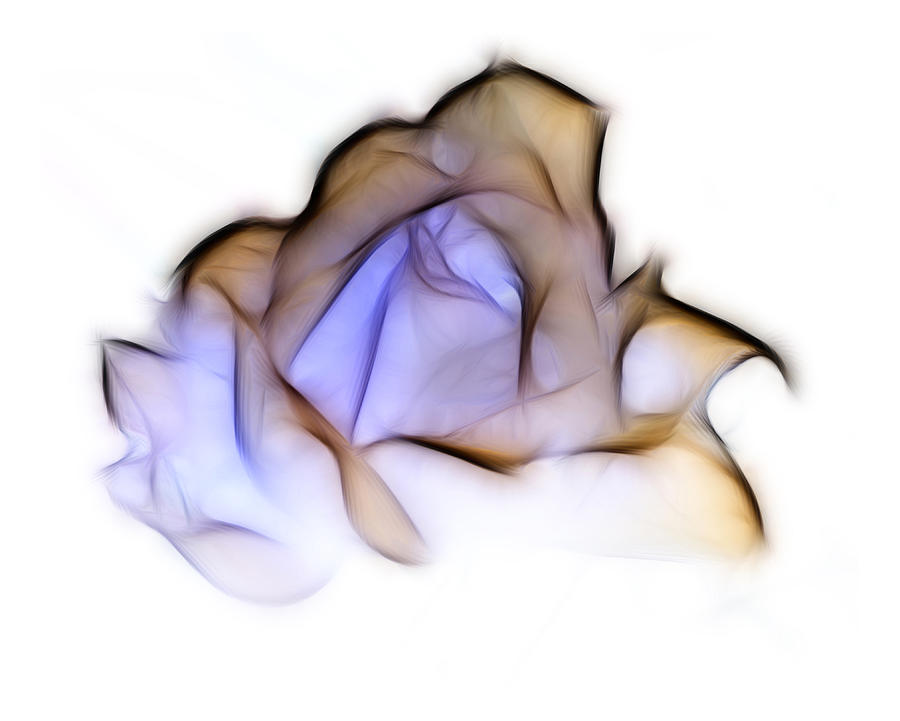 Abstract Photograph - To A Rose by Lynn Bolt