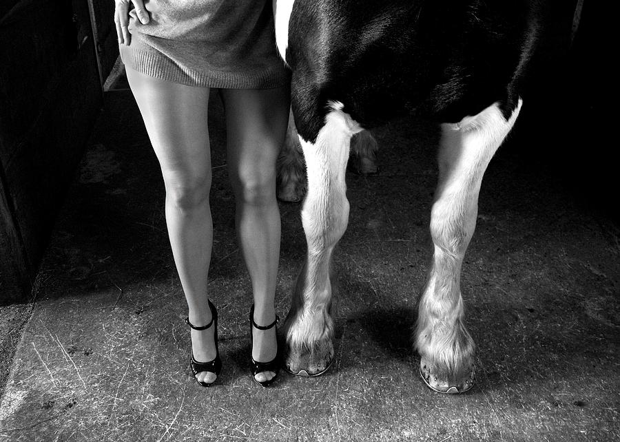 Animal Photograph - To Cool Ones Heels by Hans Repelnig