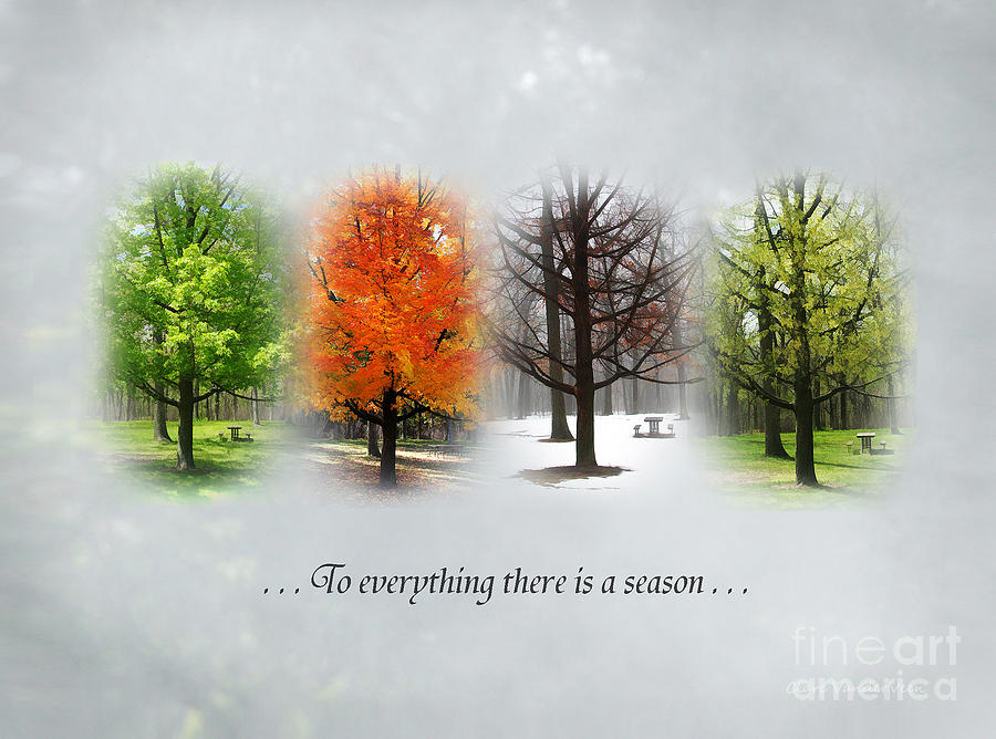 To Everything There Is A Season Photograph by Clare VanderVeen