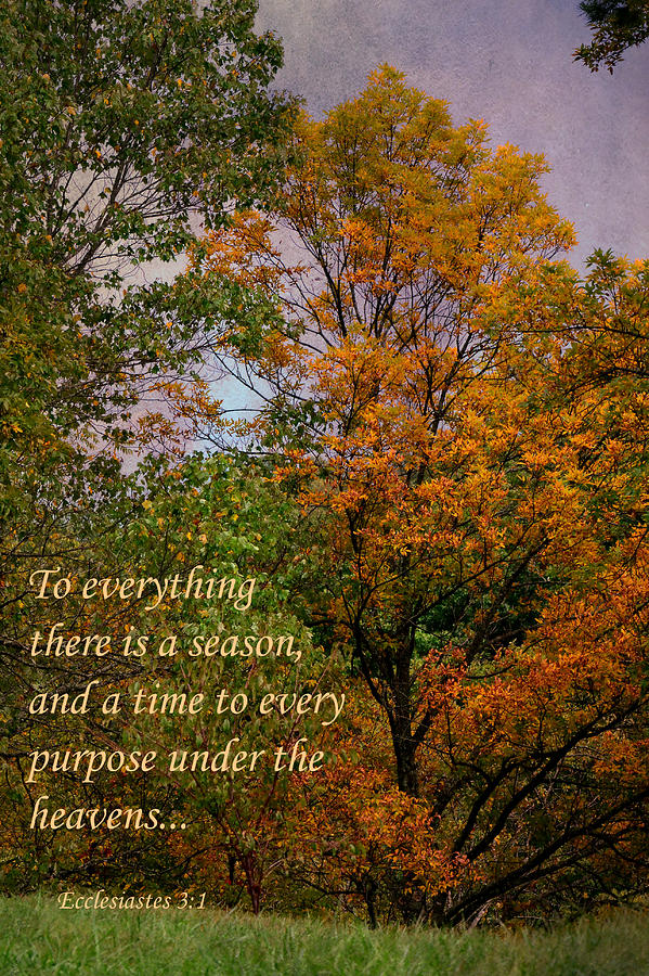 To Everything There Is A Season Photograph by Deena Stoddard