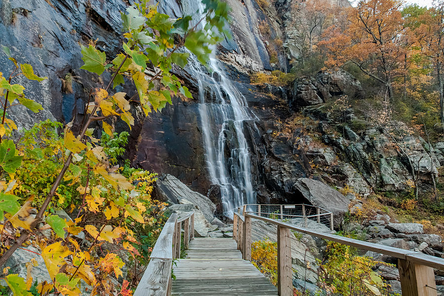 To Hickory Nut Falls Photograph by John Hoffman - Fine Art America