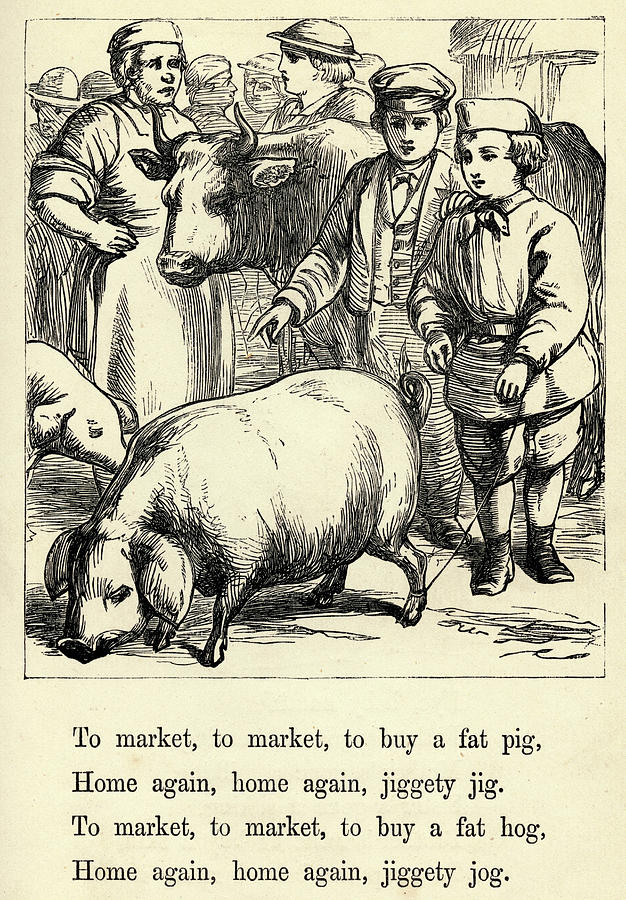 To Market, To Market To Buy A Fat Pig Drawing by Mary Evans Picture Library