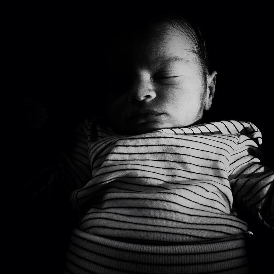 To sleep perchance to dream... Photograph by Natasha Marco