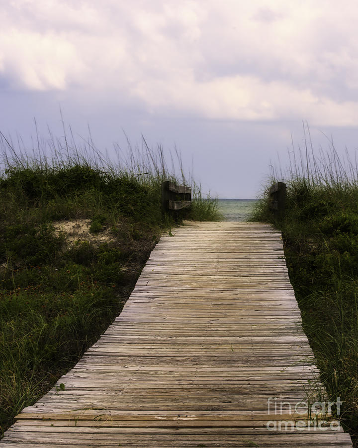To The Beach Photograph by David Waldrop