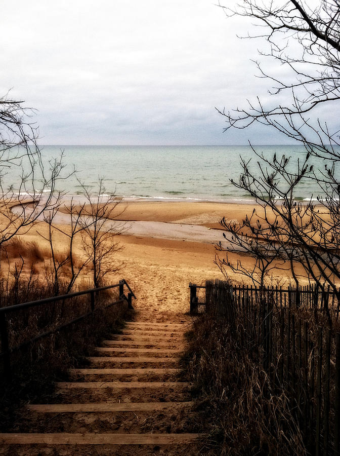 To the Beach Photograph by Michelle Calkins