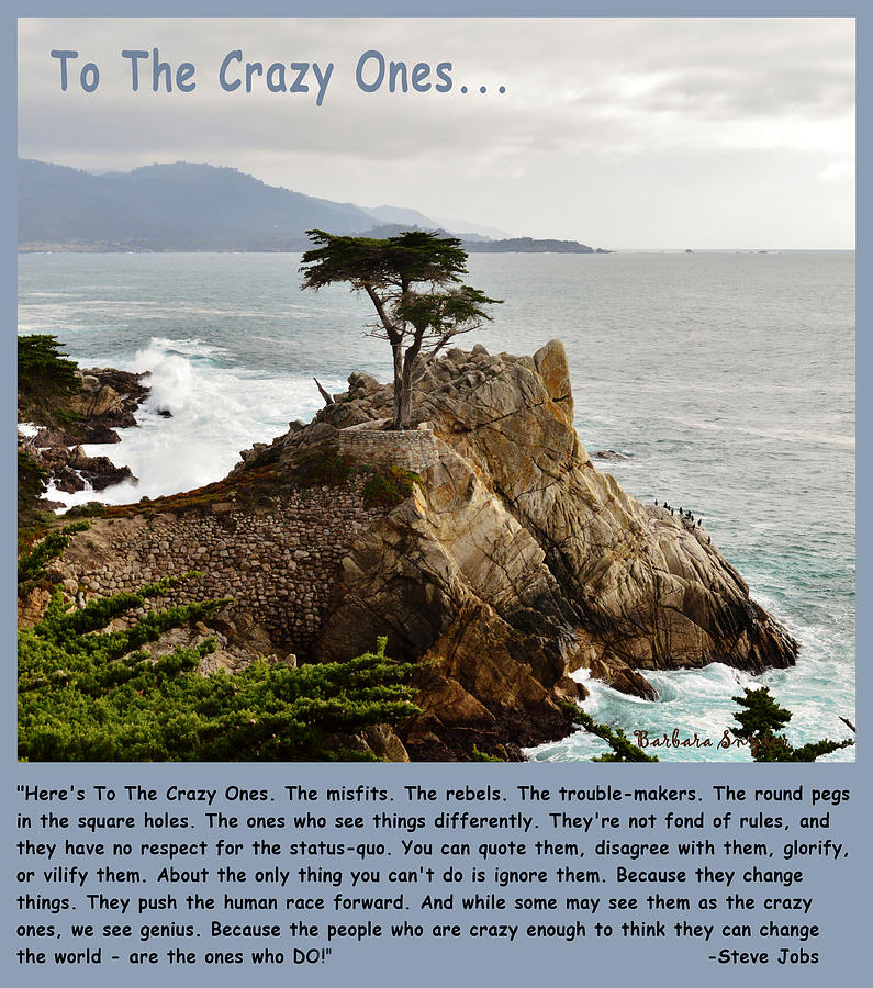 Inspirational Photograph - To The Crazy Ones Lone Cypress by Barbara Snyder