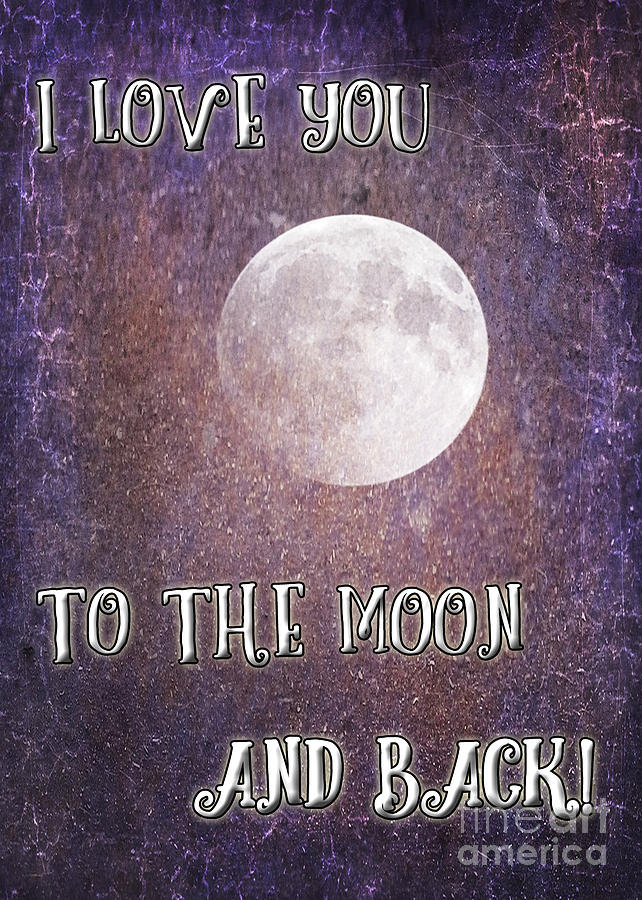 To The Moon And Back Photograph by Janice Pariza