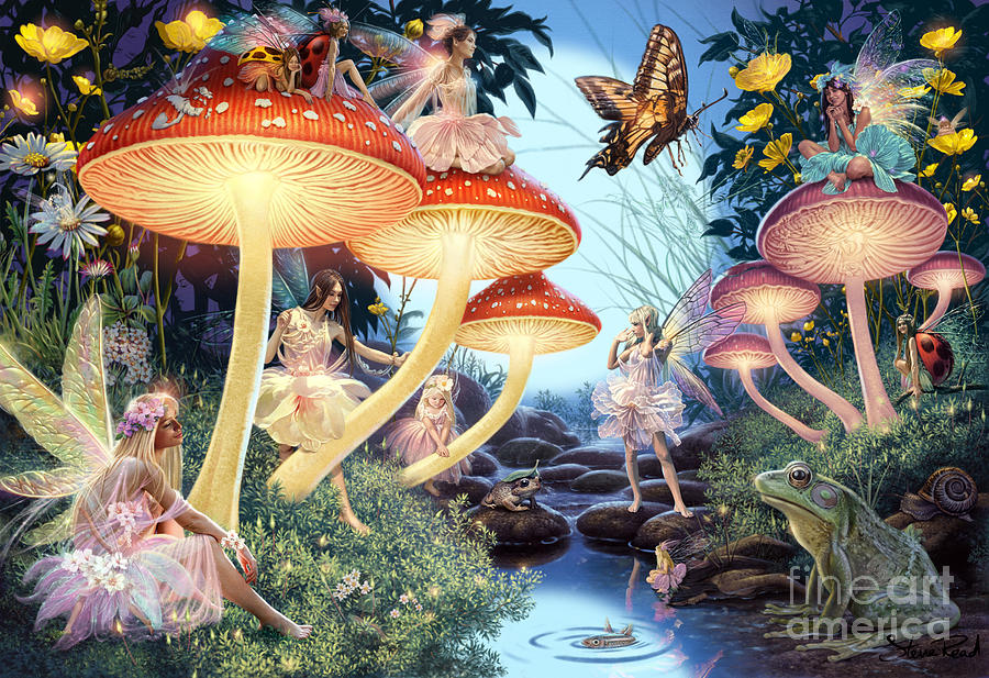 Mushroom Digital Art - Toadstool Brook by MGL Meiklejohn Graphics Licensing