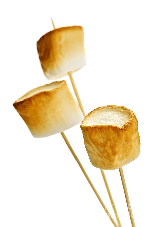 Marshmallows Photograph - Toasted Marshmallows by Elena Elisseeva Marshmallows Photograph - Toasted Marshmallows by Elena Elisseeva