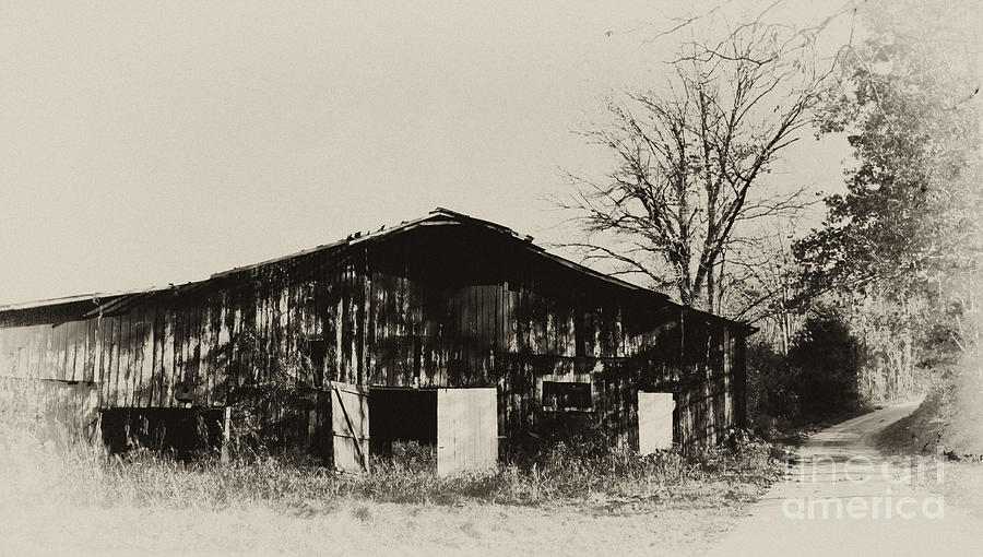 Tobacco Barn and Country Road Photograph by Wilma  Birdwell