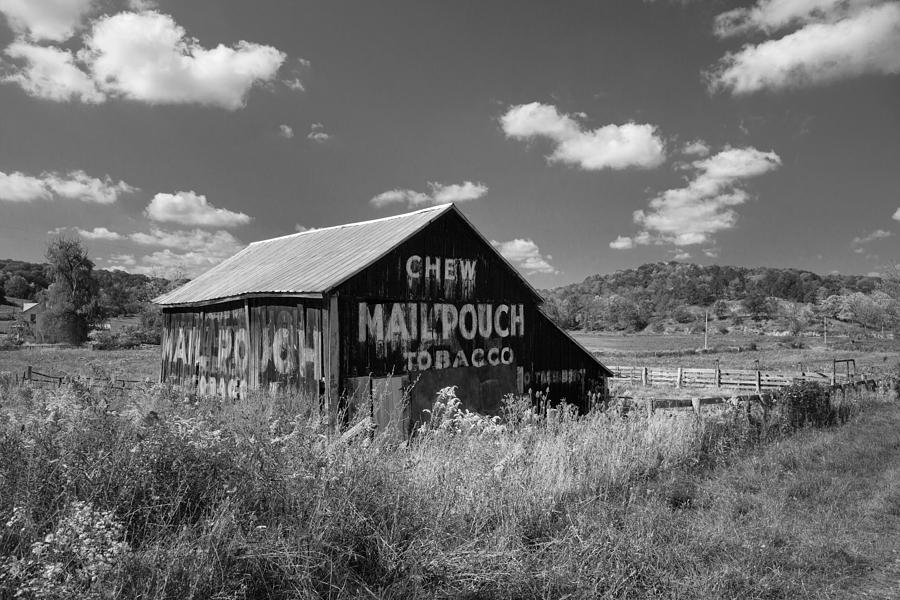 Tobacco Barn Black and White Photograph by Jack Nevitt