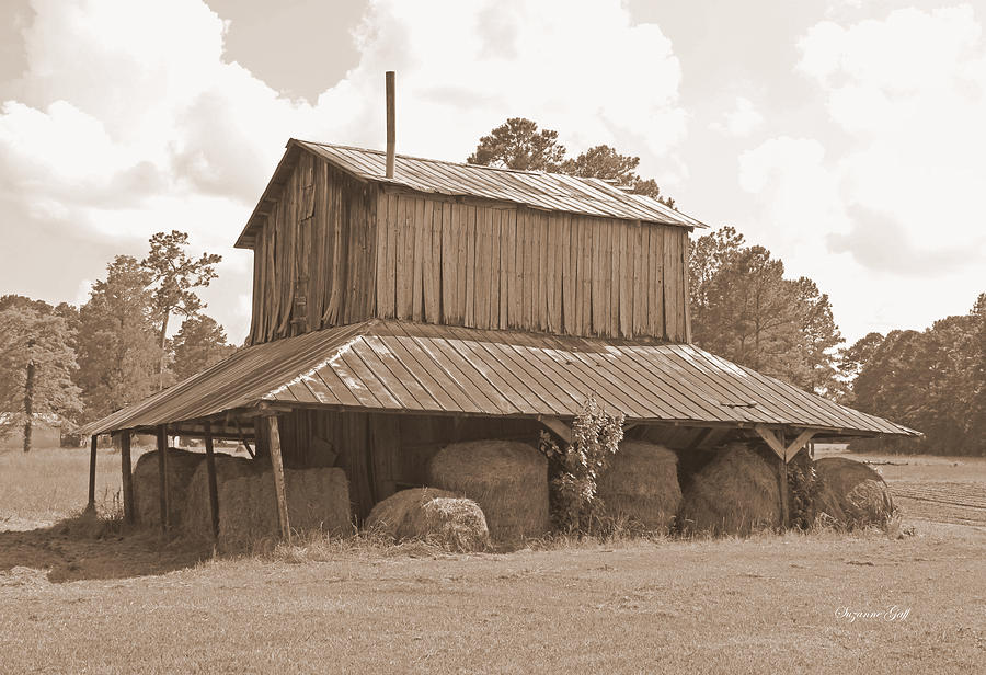 Tobacco Barn in Sepia Photograph by Suzanne Gaff