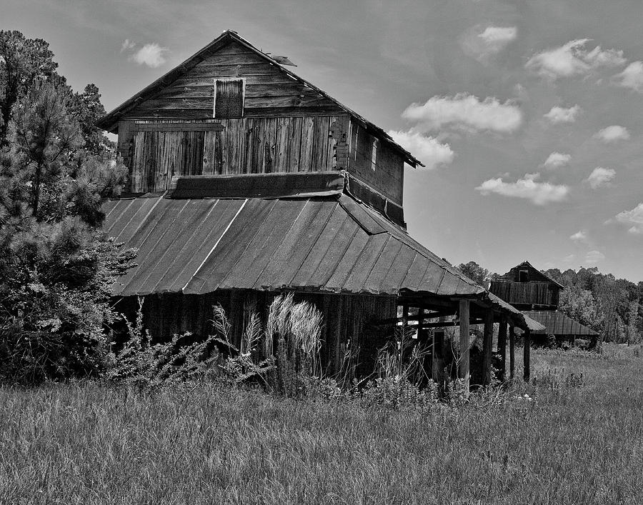 Black And White Photograph - Tobacco Barns with Clouds by Sandra Anderson