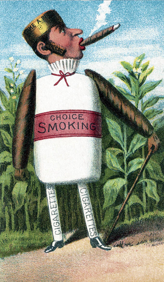 Tobacco, Bufford Vegetable Card, 1887 Photograph by Science Source