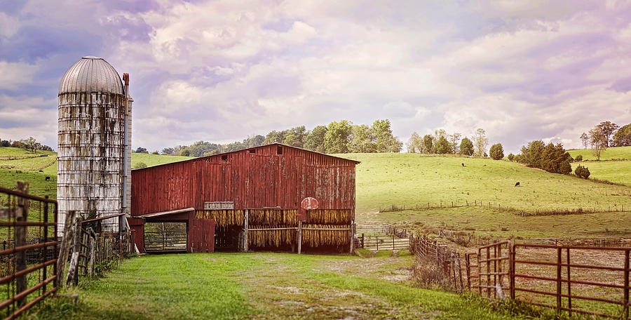 Barn Photograph - Tobacco Season by Heather Applegate