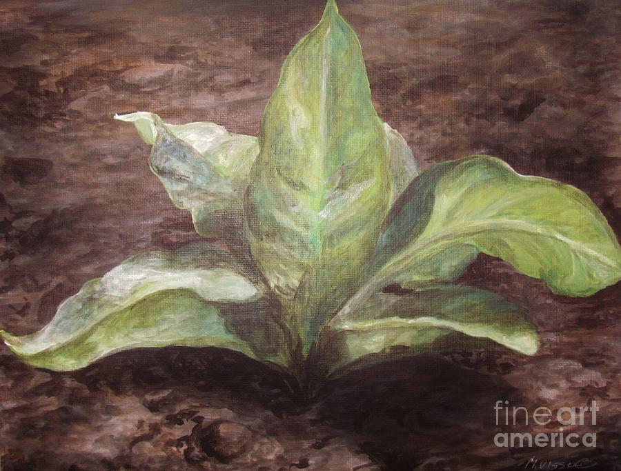 Tobacco study 2 Painting by Meagan  Visser