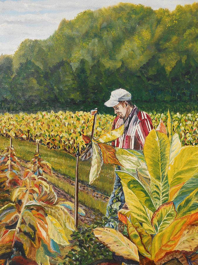 Tobacco Worker Painting by Sandra Wilson | Fine Art America