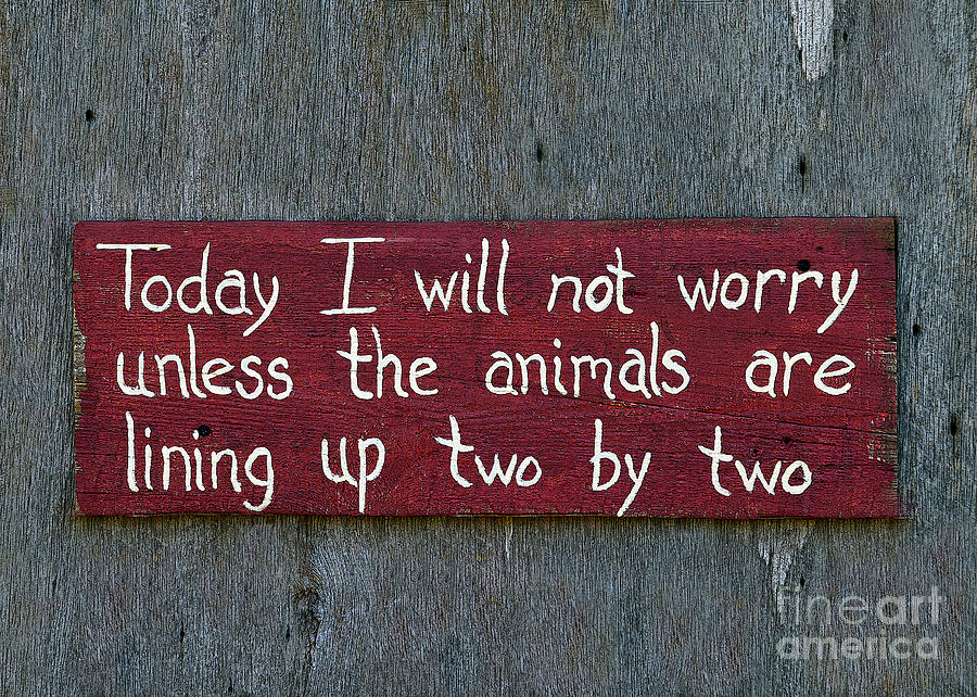 Sign Photograph - Today I Will Not Worry by Catherine Sherman