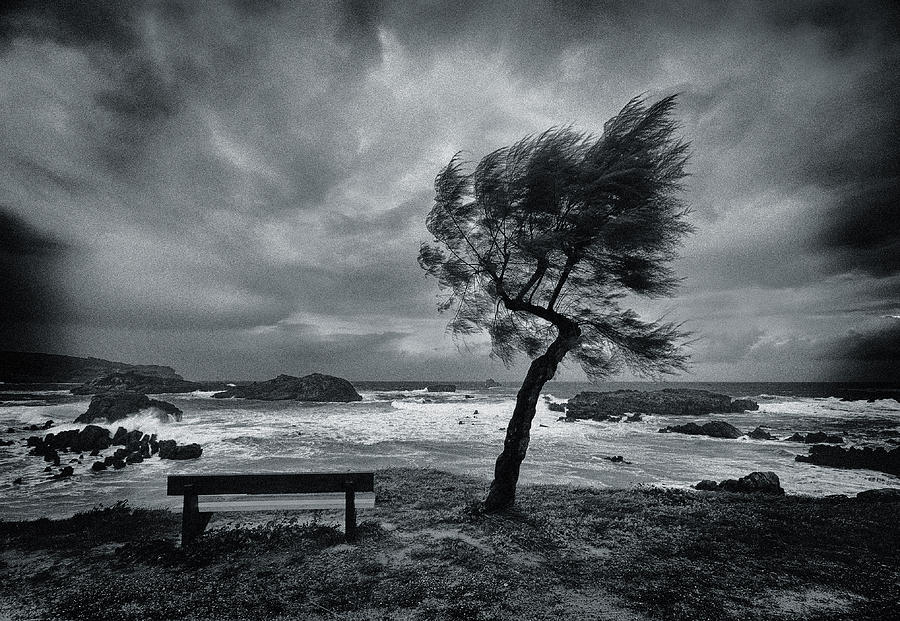Black And White Photograph - Today No One by Mikel Lastra