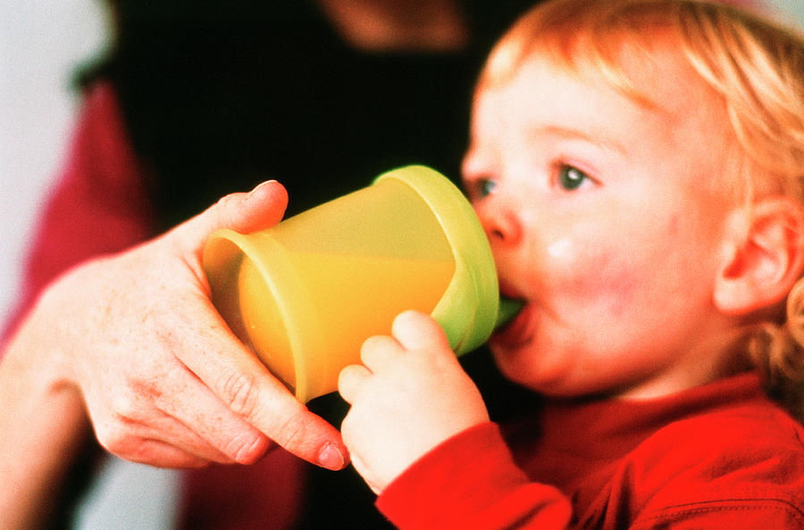 Cup Photograph - Toddler Drinking by Sue Prideaux/science Photo Library
